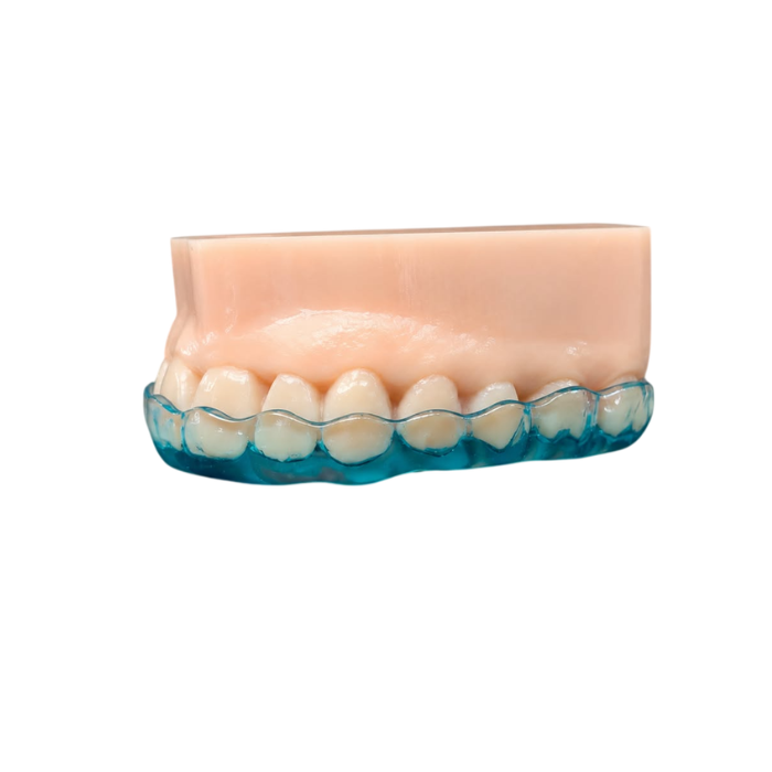 Michigan color azul dental